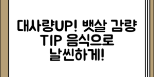 대사량을 높이는 음식과 뱃살 감량에 도움이 되는 팁 정리 전체 흐름 정리