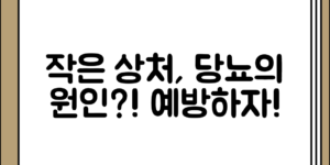 작은 상처가 당뇨로 이어질 수 있는 이유 정리하기