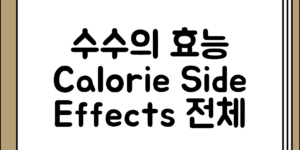 수수의 효능과 칼로리 부작용 전체 흐름 정리