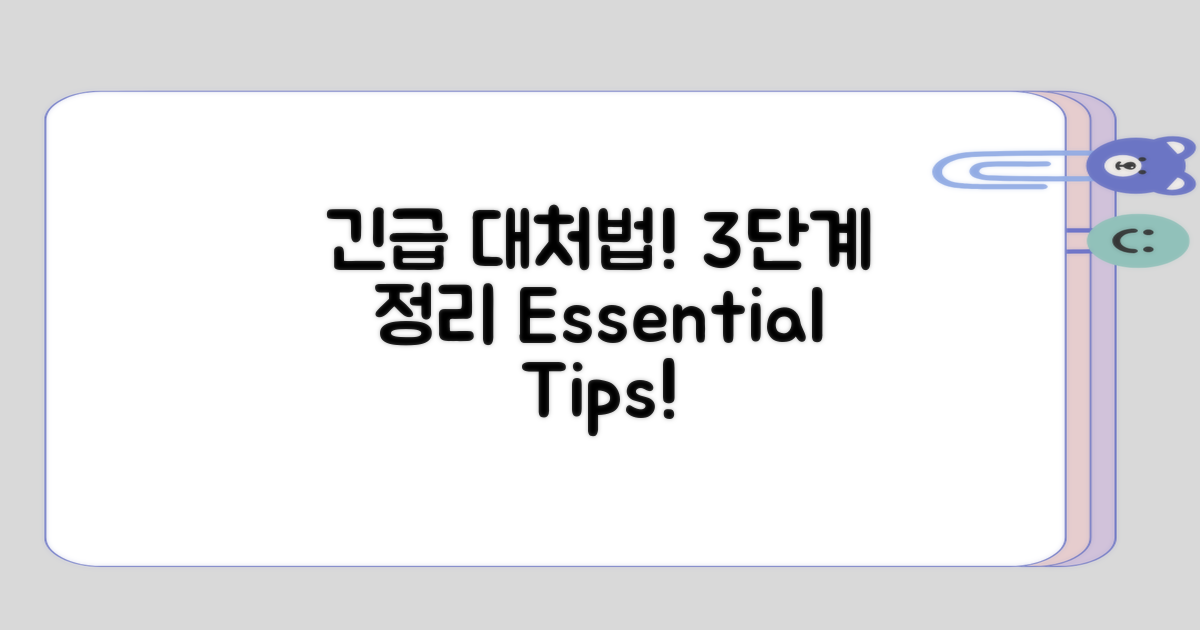 긴급 대처법 3단계 정리