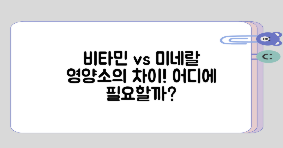 비타민과 미네랄의 차이