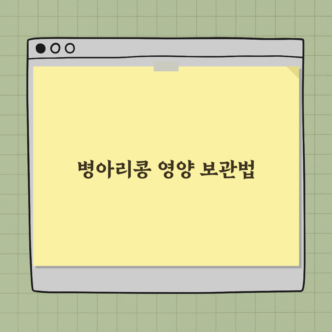 병아리콩(이집트콩) 100g 칼로리와 실온 보관법 완벽가이드: 7가지 핵심 정리