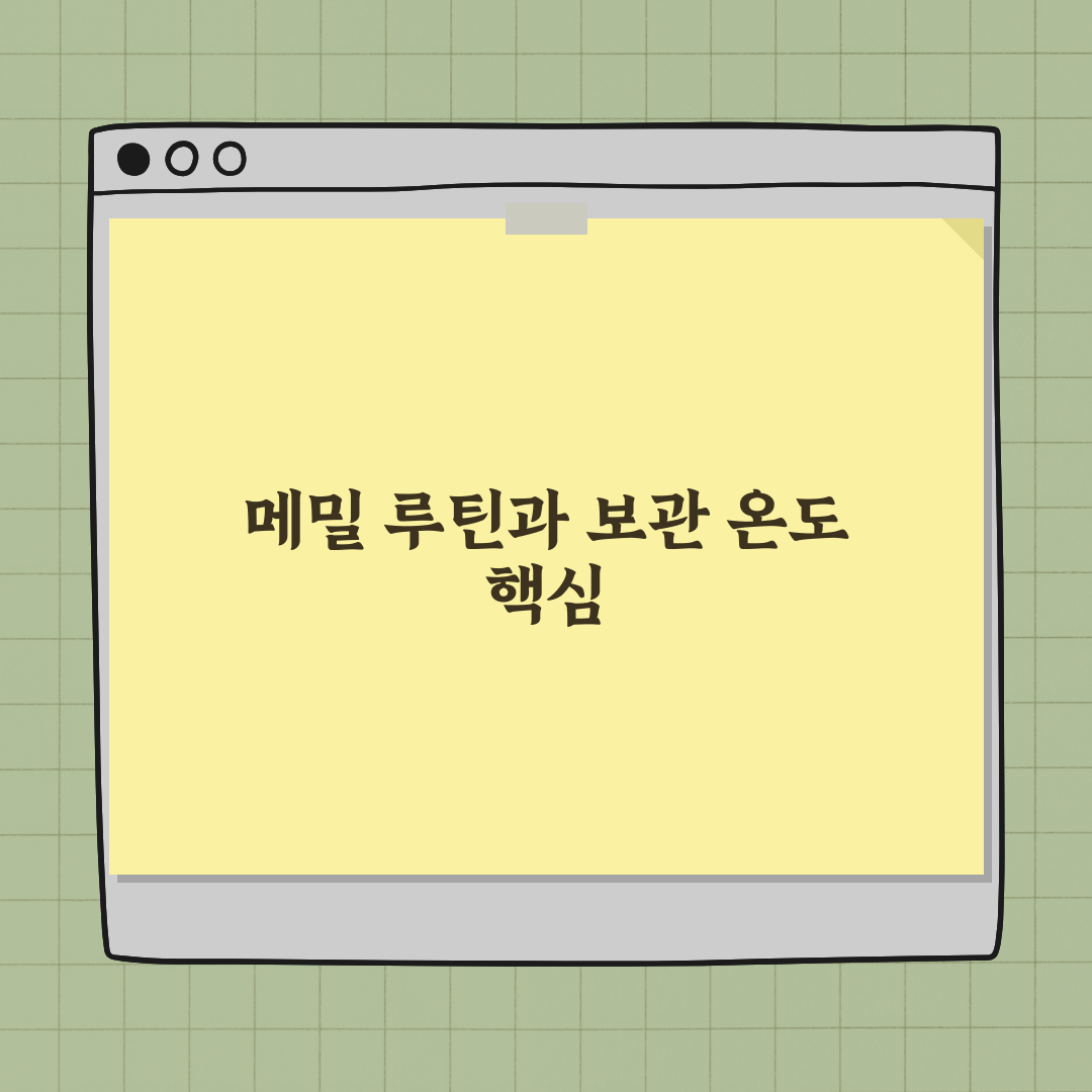 메밀 100g 루틴 성분 수치와 냉장 보관 온도 5가지 핵심 총정리