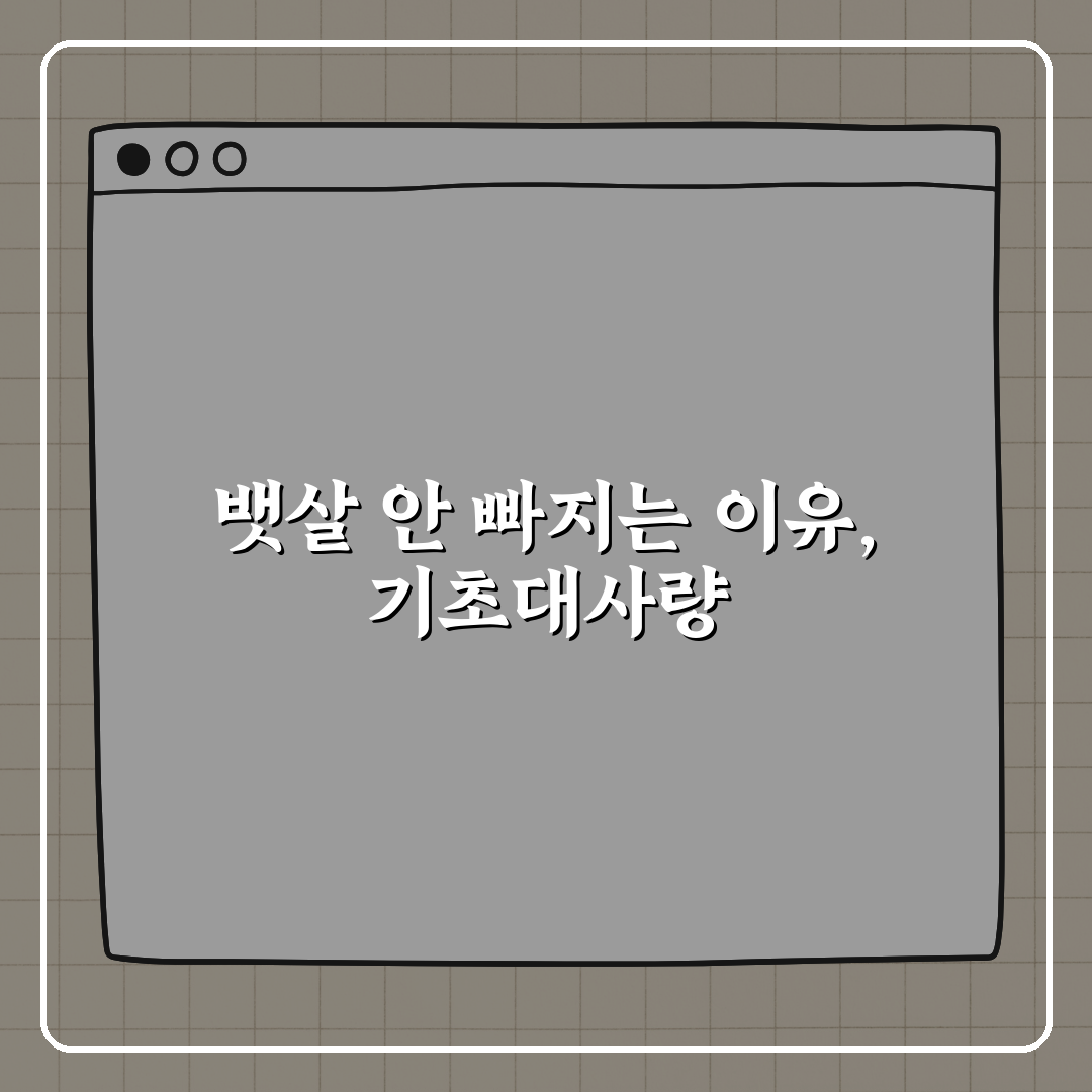 뱃살 안 빠지는 이유, 기초대사량 때문일 수 있습니다 꿀팁 알려드려요