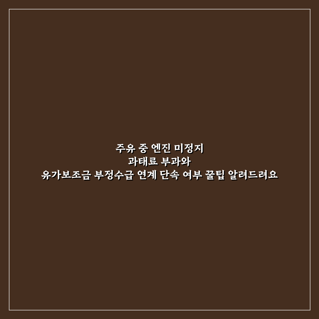 주유 중 엔진 미정지 과태료 부과와 유가보조금 부정수급 연계 단속 여부 꿀팁 알려드려요